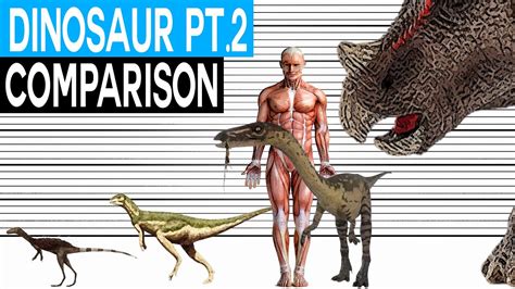 human sized dinosaur.